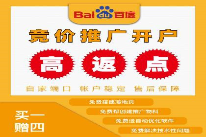 某公司SEM代理策略：实现流量转化